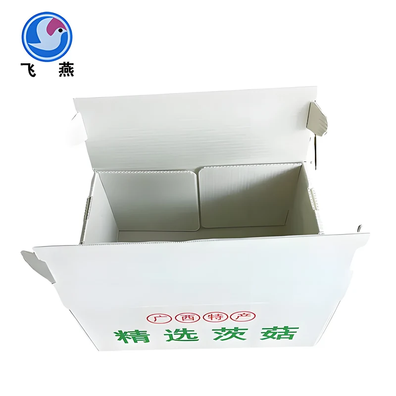 버섯 포장 상자