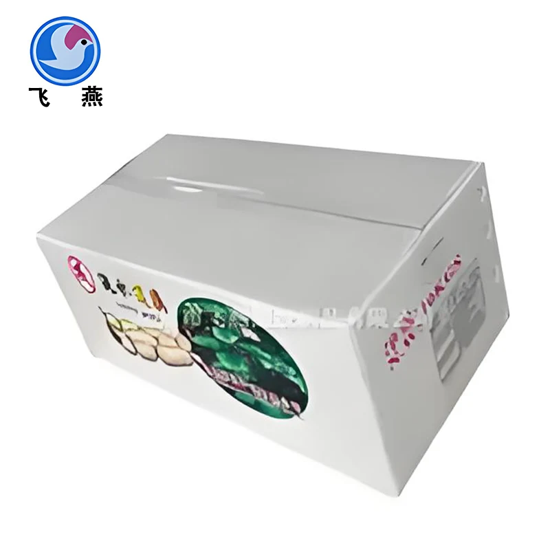 타로 플라스틱 포장 상자